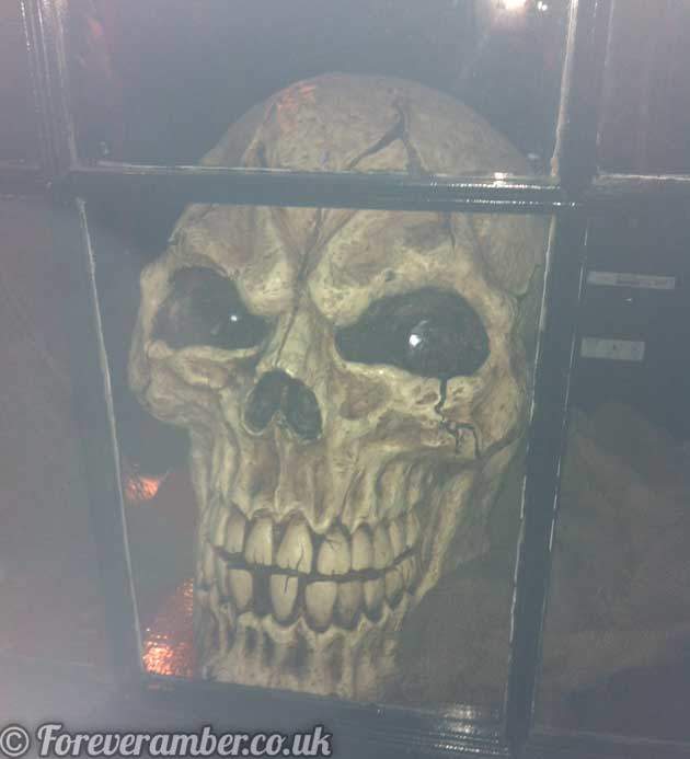 skeleton-head